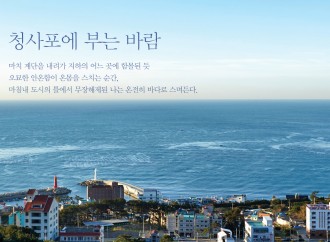 부산 유네스코 영화 창의도시 선정과 향후 과제에 대하여- 영화부산