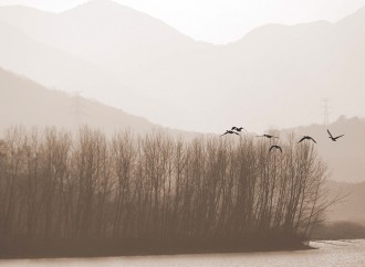 주남저수지(창원)