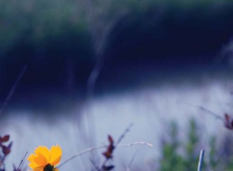 낯선 공간에 떨어지면