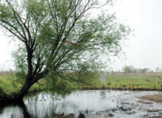 Review – 이 아이는 죽어야 했다 김백준의 [작별들]